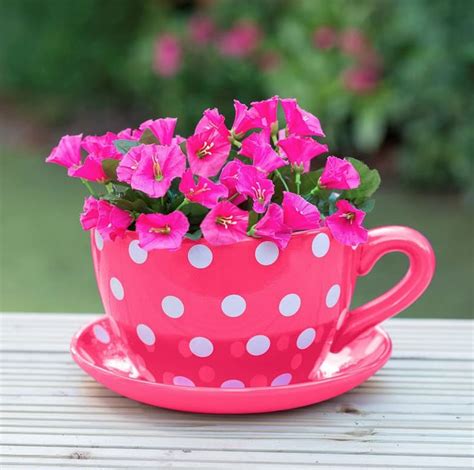 oversized giant teacup planter|extra large teapot planter.